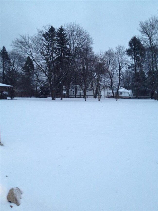 Additional Photo