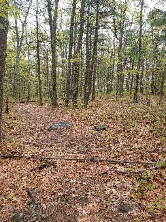 15 Forest St, Derry, NH 03038 - photo 5