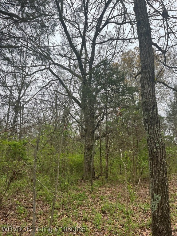 TBD S 4622 Rd, Sallisaw, OK 74955 - photo 6