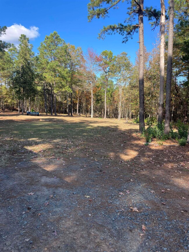 10957 Arkansas 160, Doddridge, AR 71834 - photo 5