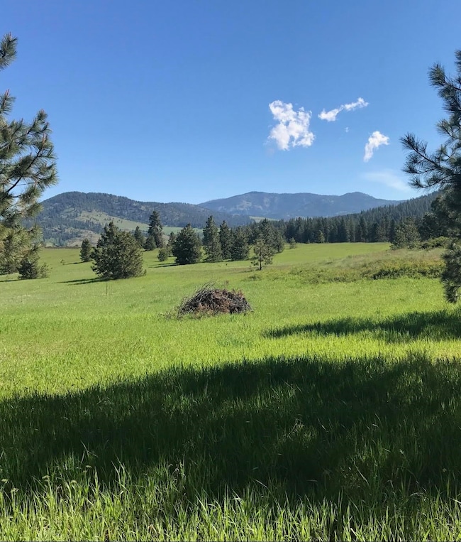 2069 A Johnson Rd, Rice, WA 99167 - photo 5