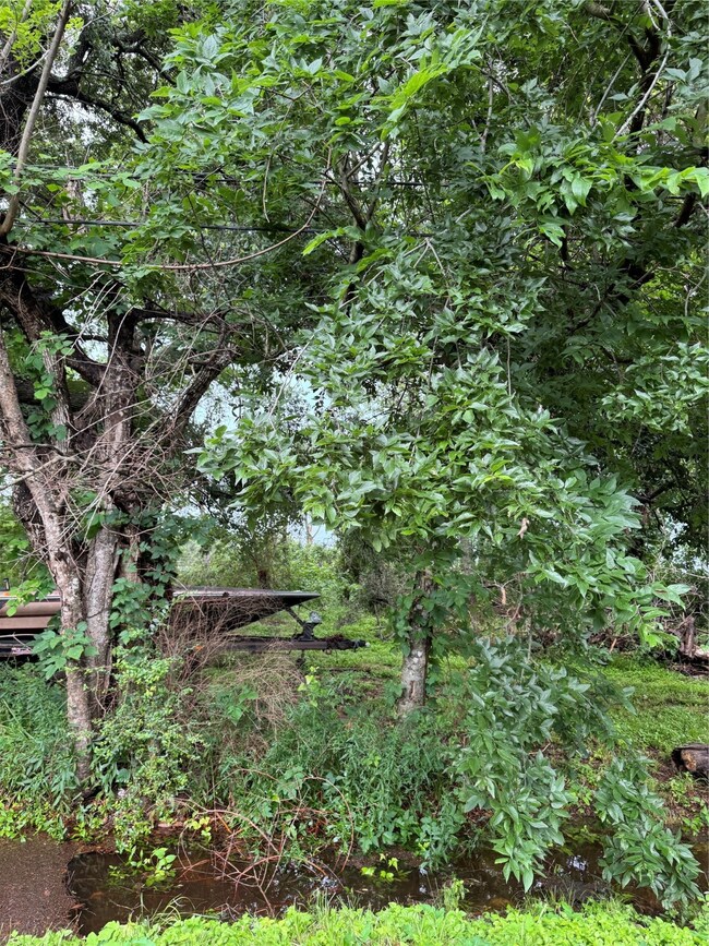 8245 Bellknap Rd, Houston, TX 77040 - photo 5