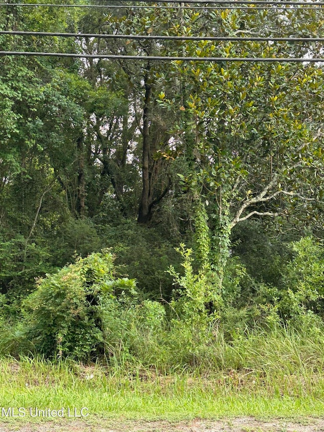 0 Martin St, Moss Point, MS 39563 - photo 7