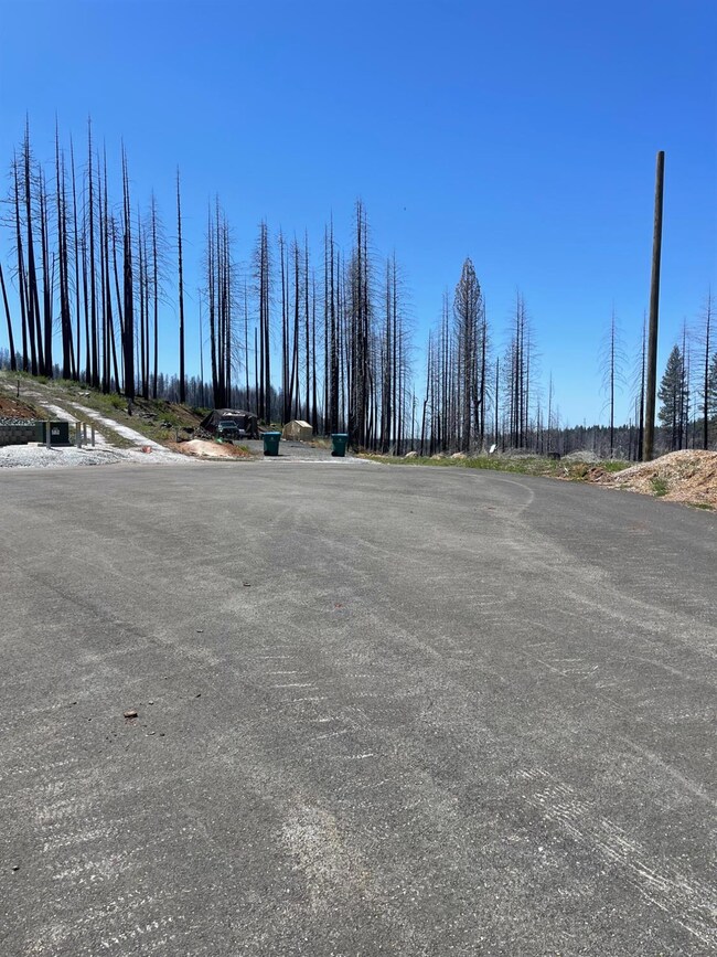 5011 Storybook Ct, Grizzly Flats, CA 95636 - photo 6