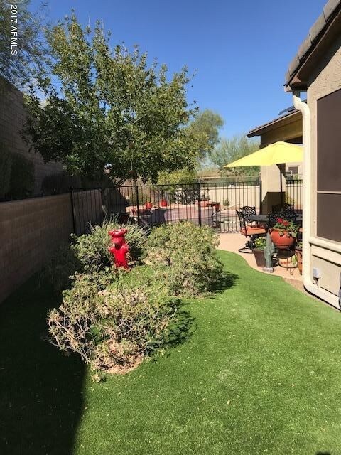 Low maintenance green in rear yard