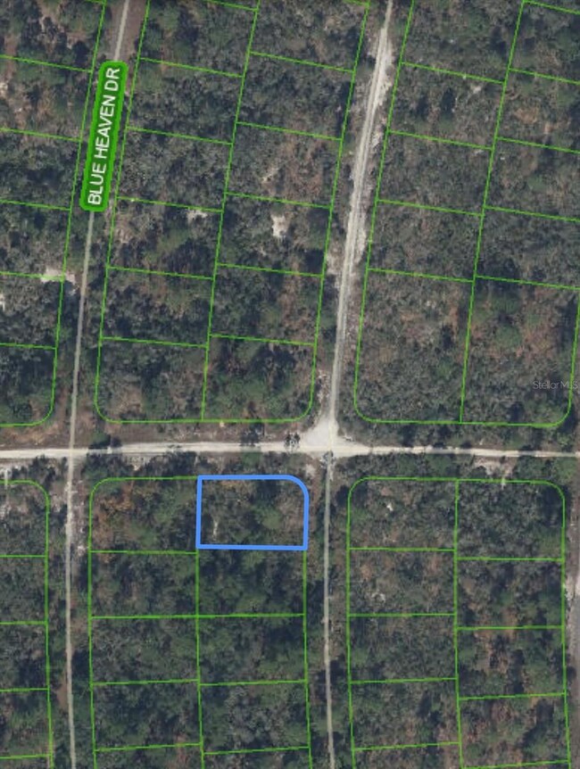 284 Rainbow Dr, Lake Placid, FL 33852 - photo 3