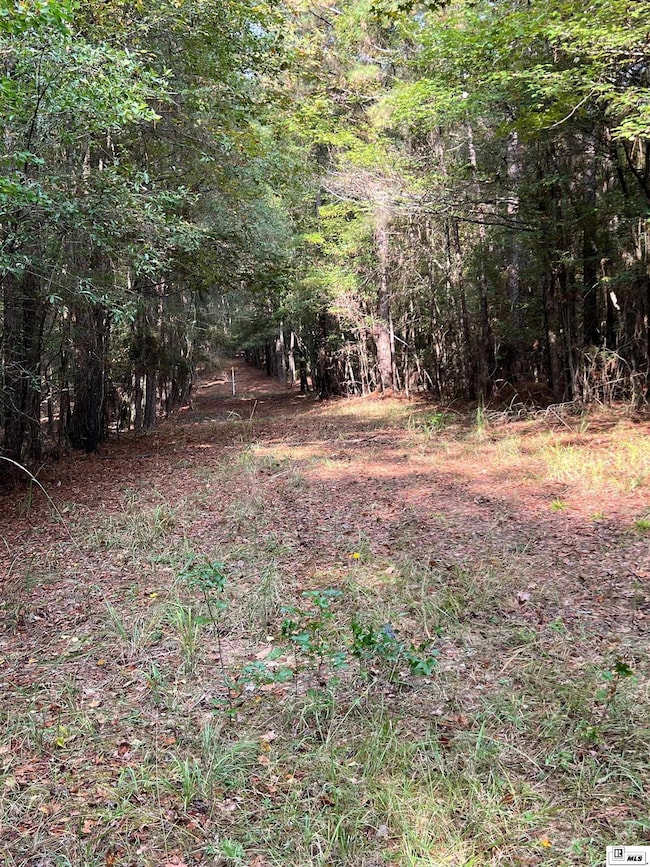 00 Highway 552, Downsville, LA 71234 - photo 6