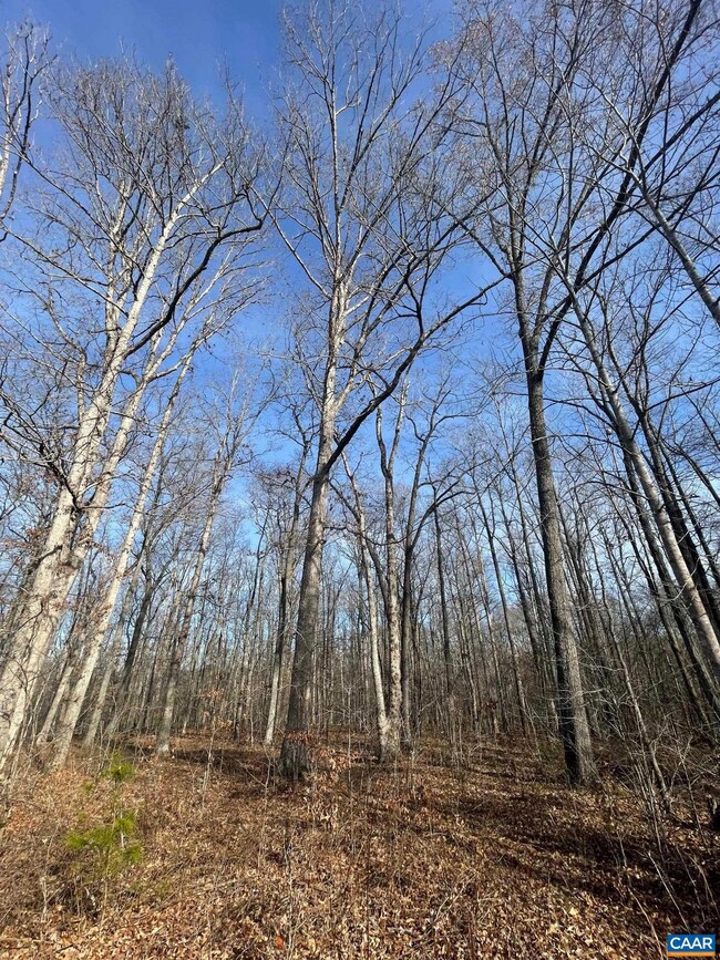 TBD Sage Ct, Fray 'S Grant, VA 22936 - photo 4
