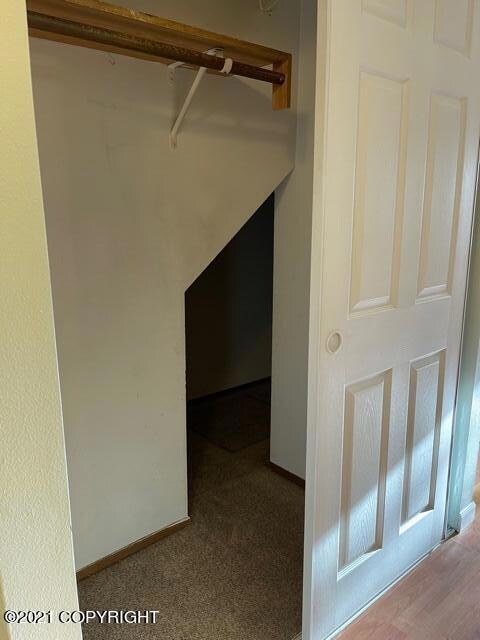 Storage Under Stairs
