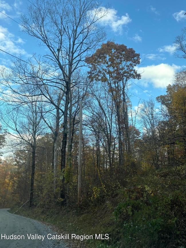 0 Carson Rd, Ancram, NY 12502 - photo 4