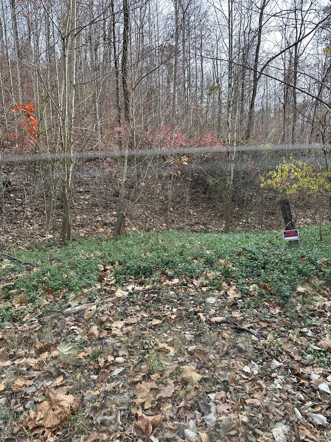 216 Happy Hollow Rd, Goodlettsville, TN 37072 - photo 2