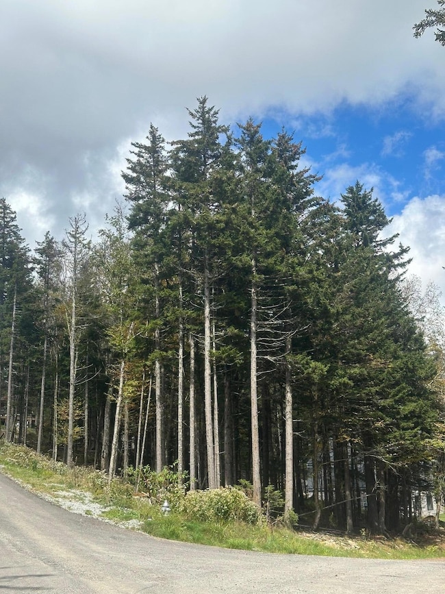 17 First Tracts Blvd, Snowshoe, WV 26209 - photo 4