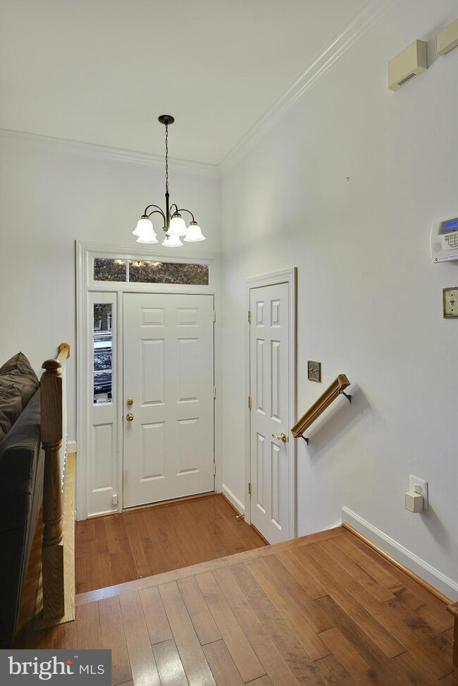 3651 Ransom Place, Alexandria, VA 22306 - photo 3