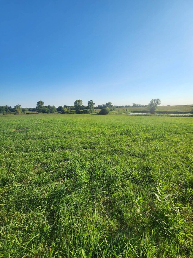 5700 SW Mirabile Dr, Polo, MO 64671 - photo 4