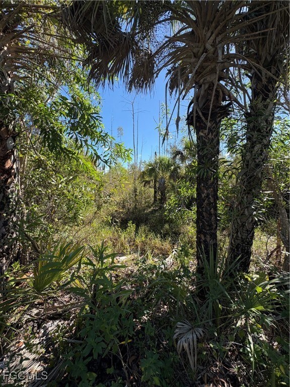 0 Le Buff Rd unit 2025012672, Naples, FL 34114 - photo 2