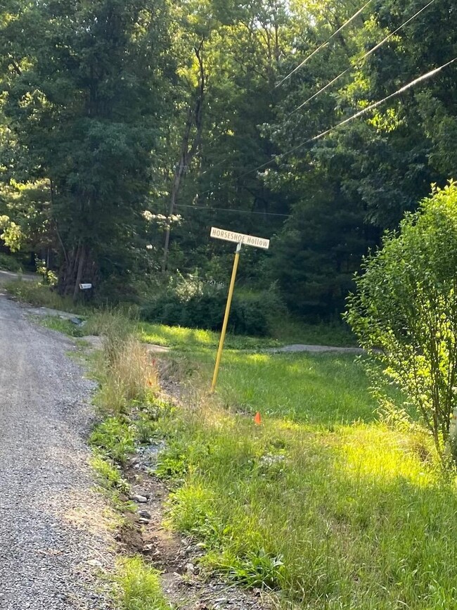 TBD Horseshoe Hollow, Stuarts Draft, VA 24477 - photo 5