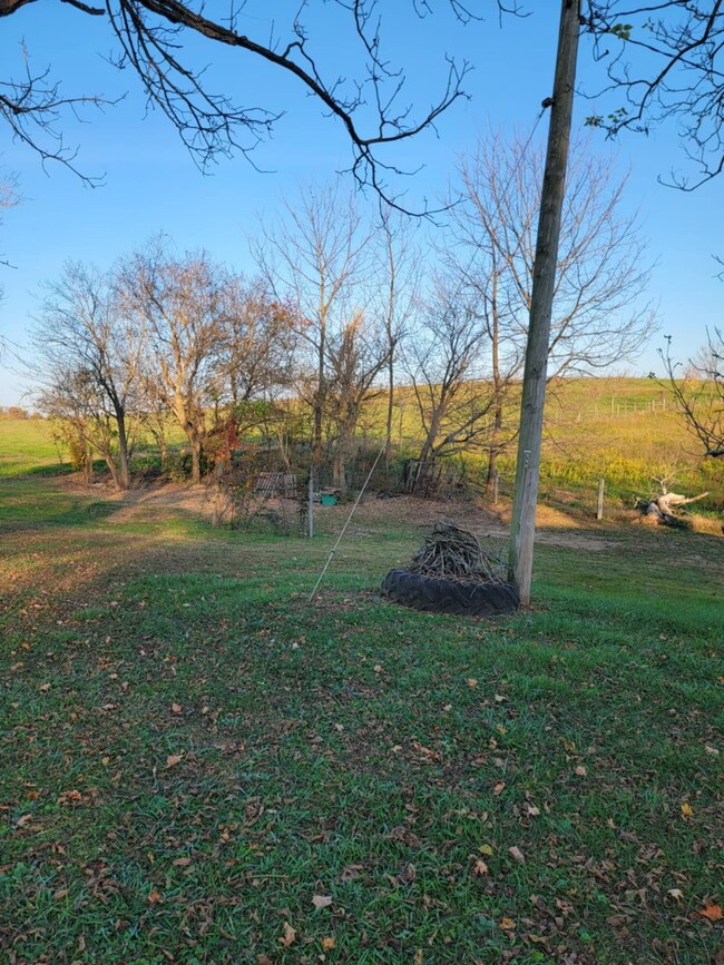 3389 Buchanan Creek Rd, Carlisle, KY 40311 - photo 7
