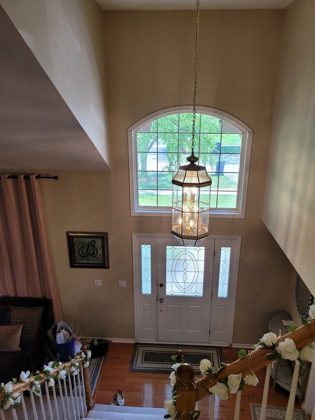 5315 Catclaw Ct, Naperville, IL 60564 - photo 4