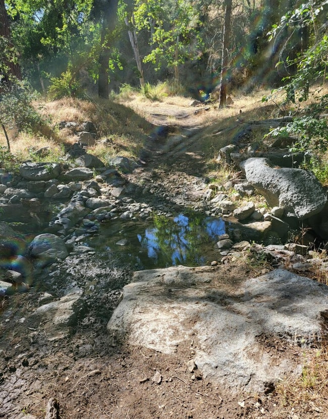 Lower Parcel