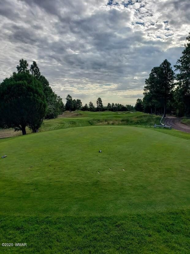 View from Tee Box Hole 16 Tower Course