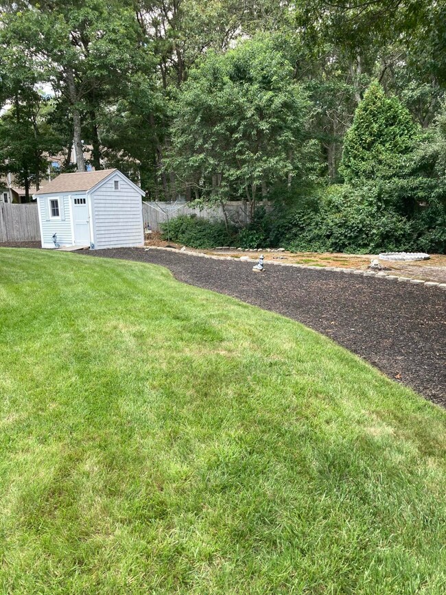 4) Shed & Natural Border
