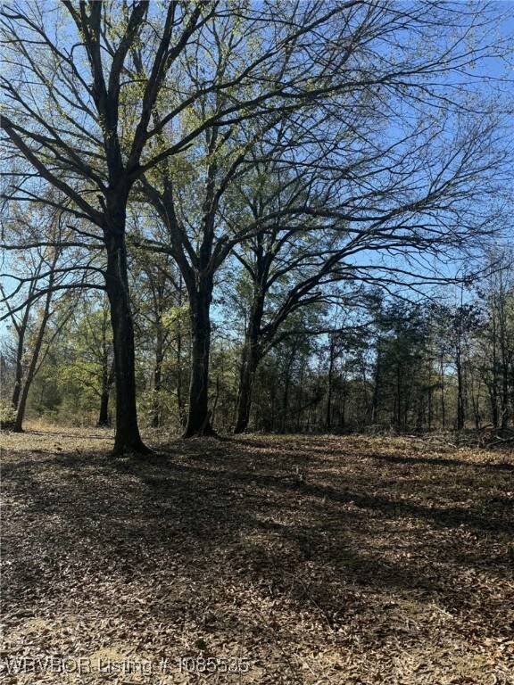 Tract 2 2nd St, Fort Coffee, OK 74959 - photo 5