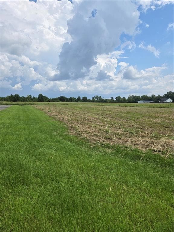 1209 Hampton Rd, Natchitoches, LA 71457 - photo 4