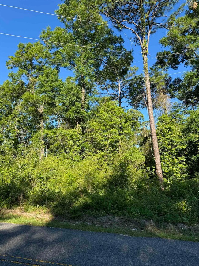 0 Old Bethel Rd, Crawfordville, FL 32327 - photo 5