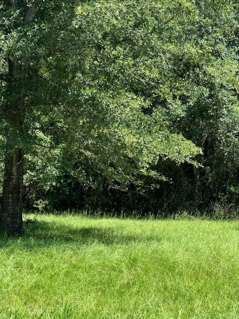 10 Firewood Rd, Huntsville, TX 77340 - photo 2