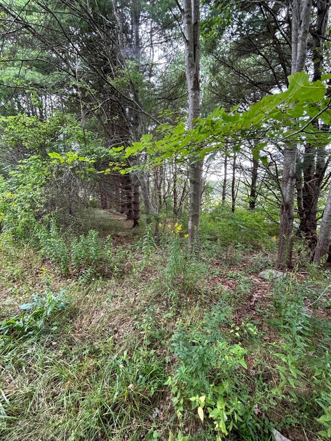 0 Allen Point Rd, Harpswell, ME 04079 - photo 2