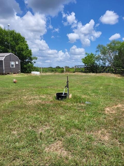View of green lawn with a storage unit