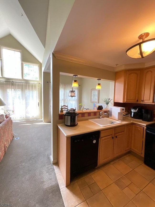 4 Maple Crescent, Vernon Twp., NJ 07462 - photo 6