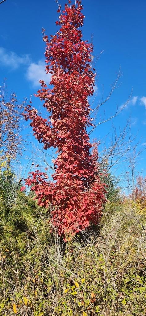 9448 Maple Grove Rd, Fish Creek, WI 54212 - photo 3