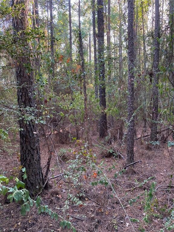 04 E Yeager Dr, Ball, LA 71405 - photo 6