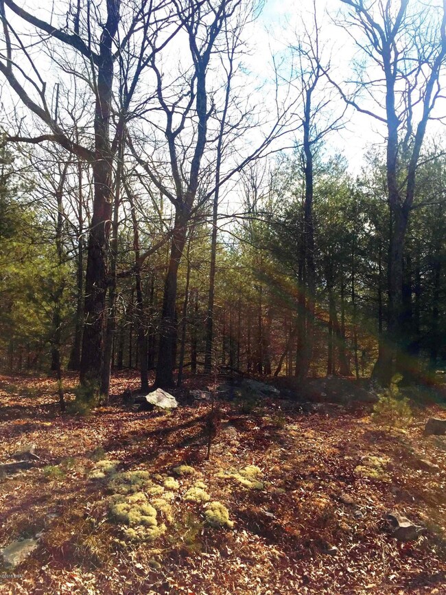 113 Pocono Circle Dr W, Dingmans Ferry, PA 18328 - photo 3