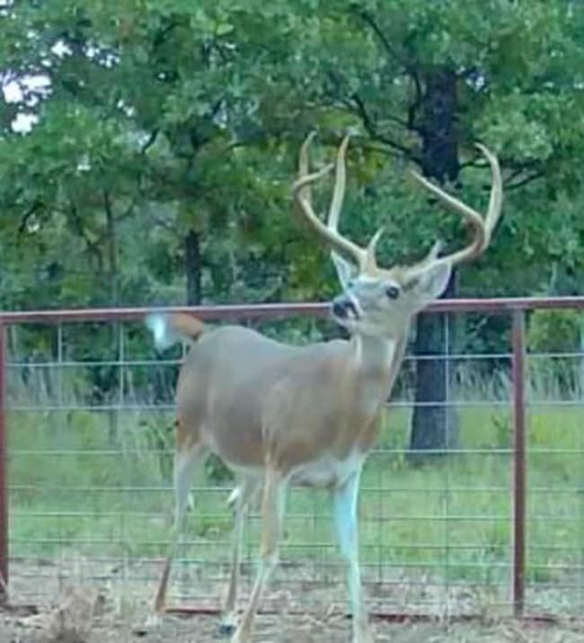 0 N Four Corners Rd, McAlester, OK 74501 - photo 5