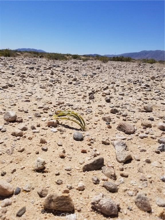 78751 Amboy Rd, Twentynine Palms, CA 92277 - photo 4