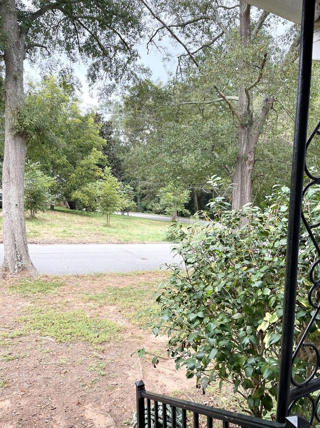 View from Front Porch