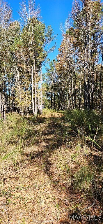 411 Pugh Rd, Mathews, AL 36052 - photo 6