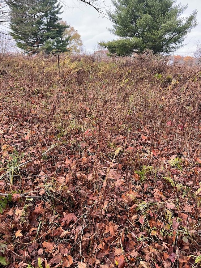 0 Big Bend Rd, Emlenton, PA 16373 - photo 6