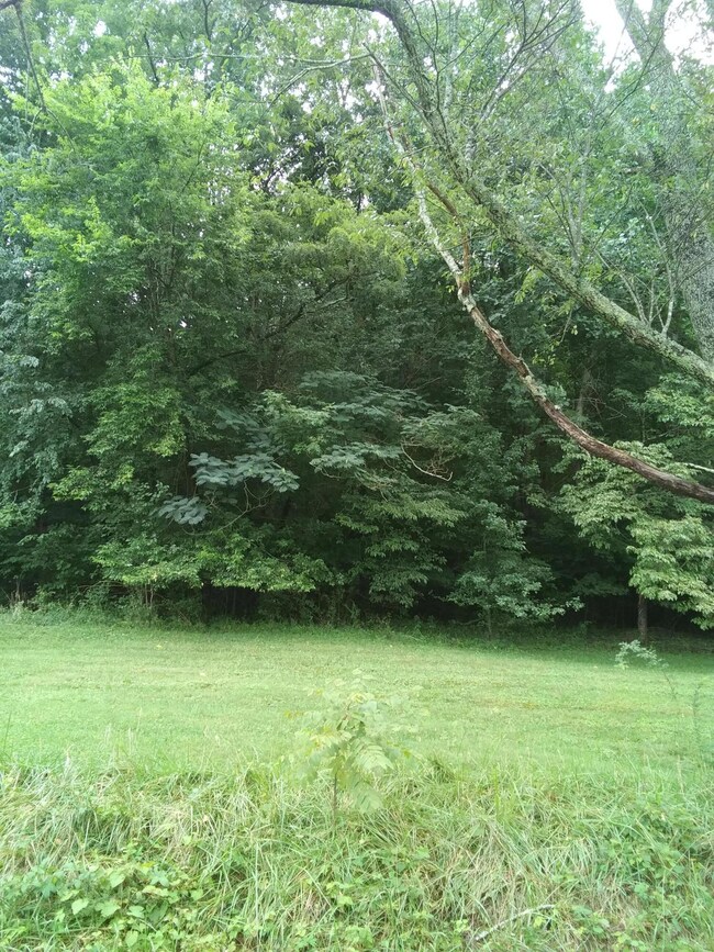 0804231154c