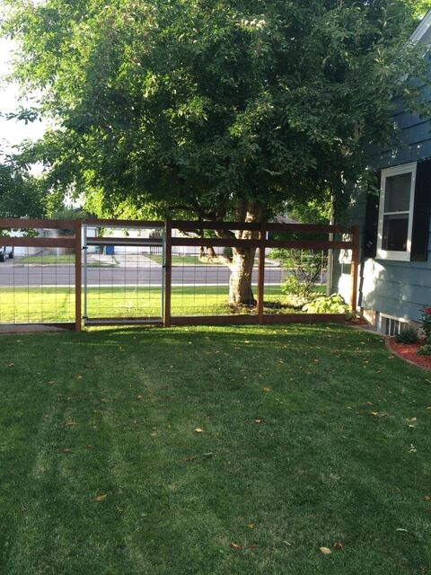 Side Yard1