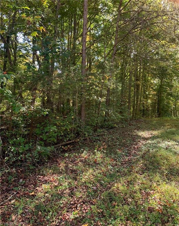 0 Jennifer View Dr unit 999299, Grant, NC 27205 - photo 4