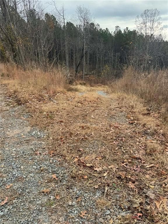 TBD Old Railroad Grade Rd, Thurmond, NC 28683 - photo 3