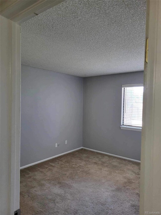 4313 S Andes Way unit 104, Aurora, CO 80015 - photo 7