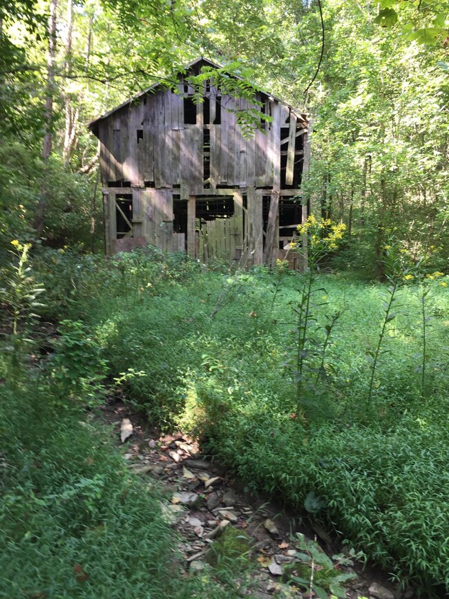 Willow Branch Rd