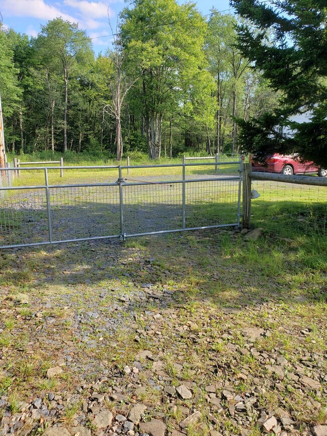 Front Left yard