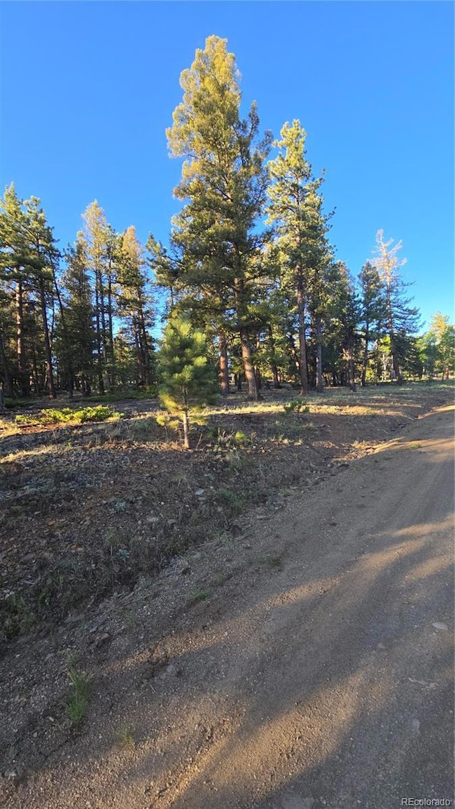 0 Chubb Ct unit 16 REC7856503, Buena Vista, CO 81211 - photo 2