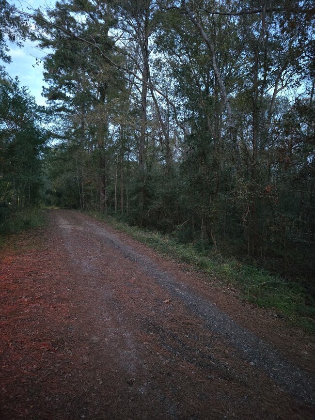 5 Lucy, Livingston, TX 77351 - photo 7