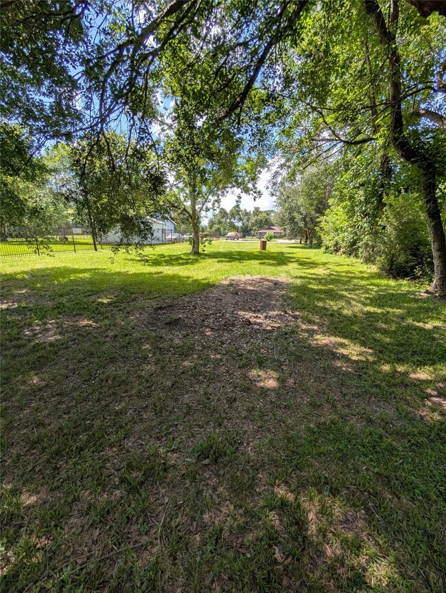 Back view to the front